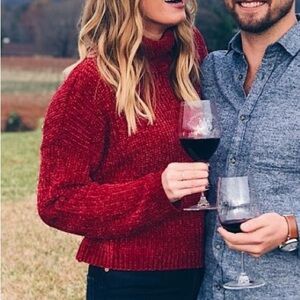 Blank NYC Deep Red Textured Crop Turtleneck